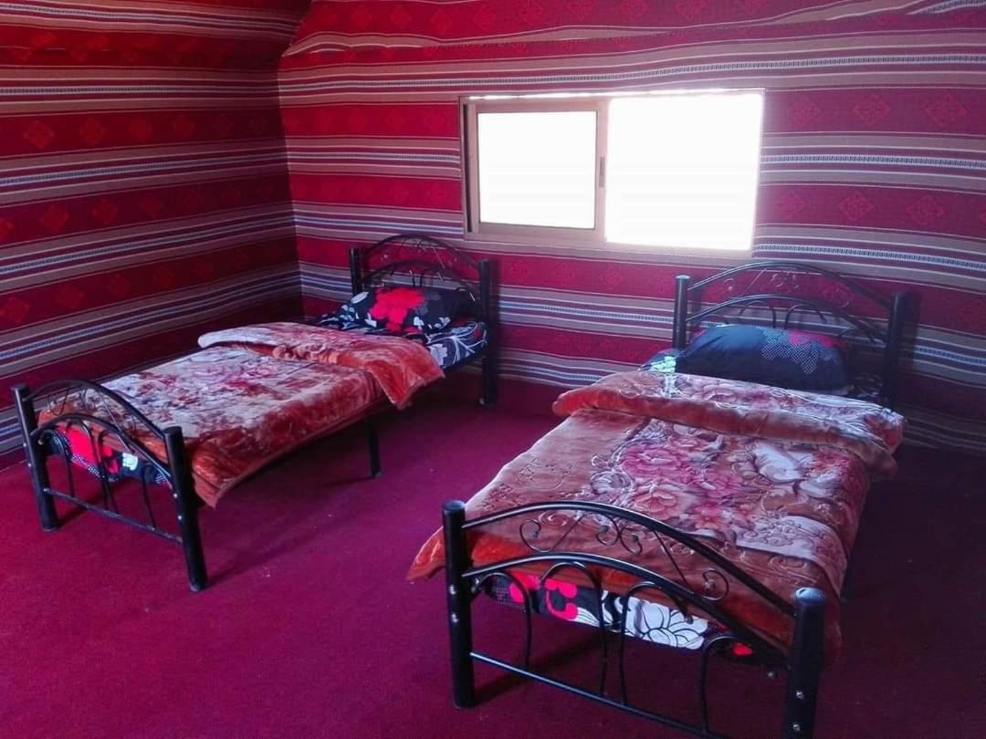 Wadi Rum Local Guide Camp Номер фото