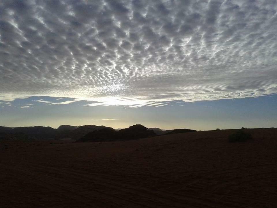 Wadi Rum Local Guide Camp Экстерьер фото